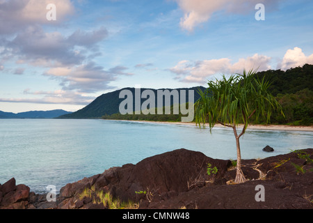 Twilight view along Noah Beach. Daintree National Park, Queensland, Australia Stock Photo