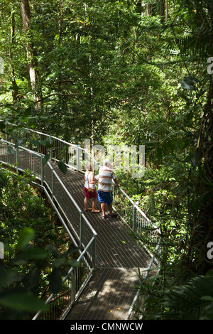 Tourists On Aerial Walkway At The Daintree Rainforest Discovery Centre ...