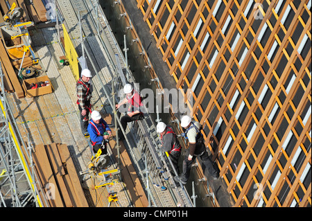 Construction workers / steeplejacks / roofers protected by safety harnesses, hard hats and ropes attaching wooden planks on roof Stock Photo