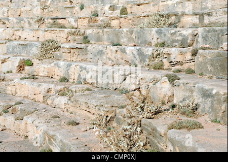 Apollonia. Libya. Close-up view of rock cut seats of the Greek Theatre of Apollonia which lies just outside the eastern walls Stock Photo