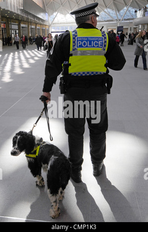 Back view British Transport Policeman in uniform & trained Spaniel sniffer dog Kings Cross main line railway train station concourse London England UK Stock Photo