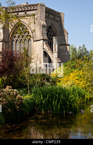 Wells cathedral, rear view from the bishops palace gardens, Wells, Somerset, UK. Stock Photo