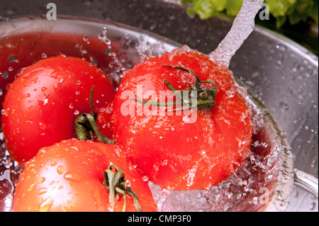 Three fresh tomatoes in colander splashing in water Stock Photo