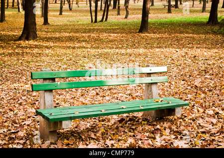 City park bench in autumn forest  Stock Photo