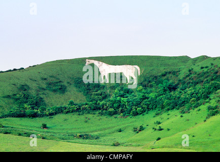 Westbury White Horse chalk hill figure below Bratton Camp Iron Age hill fort on the edge of Bratton Downs, Wiltshire, England Stock Photo