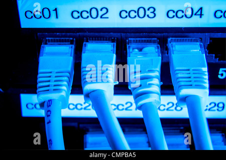 close up of network cables connected to switch Stock Photo