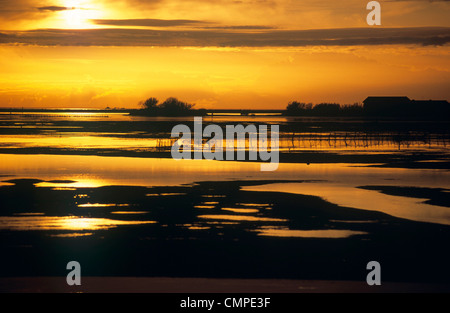 Europe Italy Friuli Venezia Giulia Grado lagoon at sunset Stock Photo