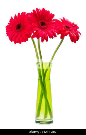 three Gerber flowers, red gerbera daisies in green vase isolated on white