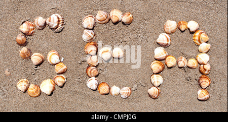 Word 'SEA' made with small sea shells  Stock Photo