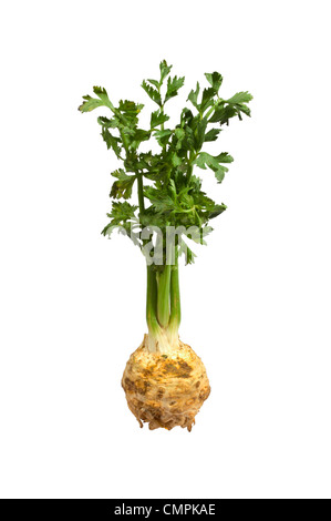 Green celery isolated on white background Stock Photo