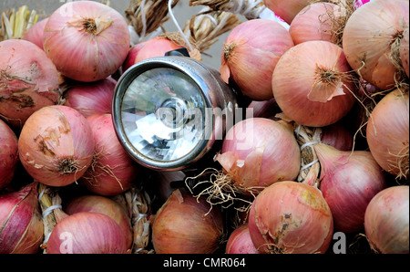 French onions hanging over the handle bars of a bike lamp Stock Photo