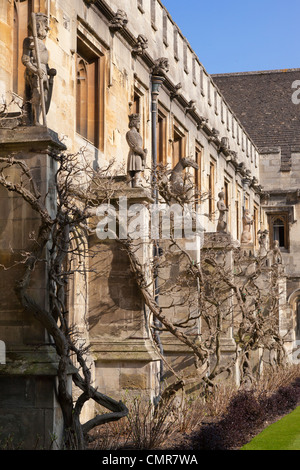 Magdalen College Oxford - the Cloister, statues and Wisteria 5 Stock Photo