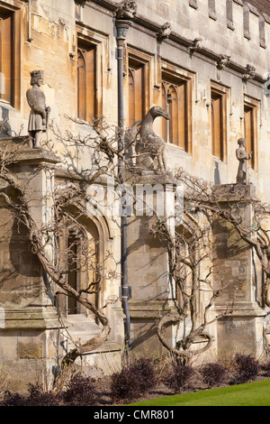Magdalen College Oxford - the Cloister, statues and Wisteria 7 Stock Photo