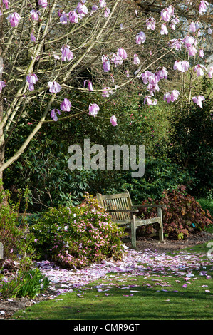 SEAT IN BOTANICAL GARDENS, TREES IN AUTUMN, , MOUNT LOFTY 