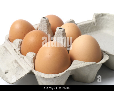 Six eggs in container on white background Stock Photo