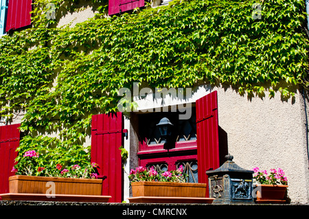 Red shutters and pink flowers with bright green ivy growing up a white plastered wall in Naucelle, the Midi-Pyrenees, France. Stock Photo