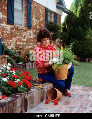 1980s WOMAN PLANTING GERANIUMS IN TERRA COTTA POT Stock Photo