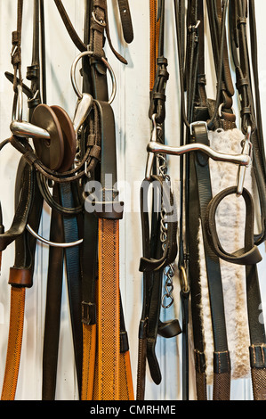 Riding gear in a stable tac room. Stock Photo