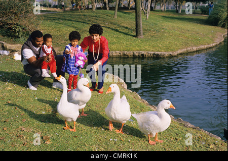 1980 1980s AFRICAN AMERICN FAMILY MOTHER FATHER SON DAUGHTER FEEDING GEESE BY LAKE Stock Photo