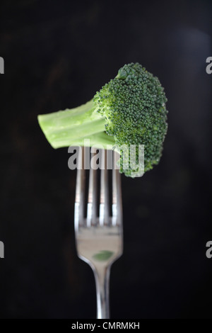 Broccoli floret on fork Stock Photo