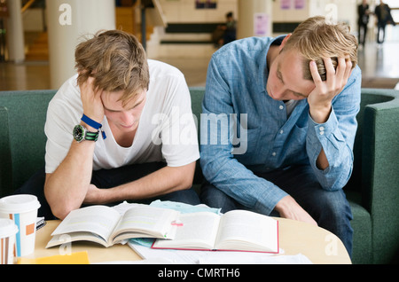 Two concentrated guys Stock Photo