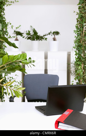 Office with a lot of plants Stock Photo