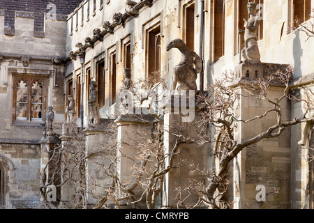 Magdalen College Oxford - the Cloister, statues and Wisteria 8 Stock Photo