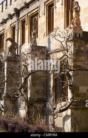 Magdalen College Oxford - the Cloister, statues and Wisteria 9 Stock Photo