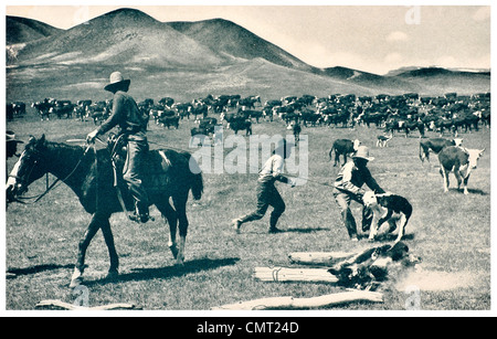 1924 Calf branding iron lasso America Stock Photo