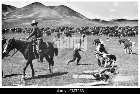 1924 Calf branding iron lasso America Stock Photo