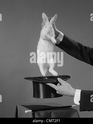 1960s MAGICIAN’S HANDS PULLING WHITE RABBIT OUT OF TOP HAT Stock Photo