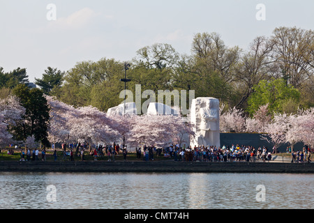 Cherry blossoms around the Tidal Basin in Washington DC with Martin Luther King Memorial Stock Photo