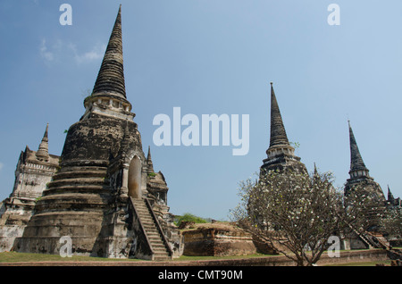 Thailand, Ayutthaya. Wat Phra Si Sanphet, the historic home to the royal palace from 1350-1448, Stock Photo
