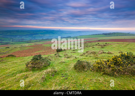 View from Cox Tor towards Tavistock, Dartmor National Park, Stock Photo