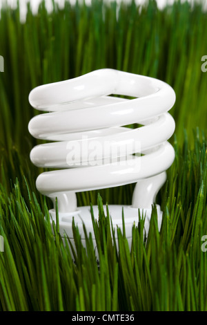 Compact Fluorescent Lightbulb and green grass Stock Photo