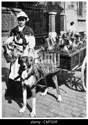 1925 Flanders delivering Milk dog cart Stock Photo