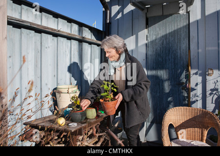 Senior woman taking care of plants Stock Photo