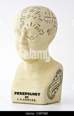 Phrenology bust on white background Stock Photo