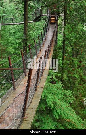 Treetops Adventure walkway at the Capilano Suspension Bridge, Vancouver ...