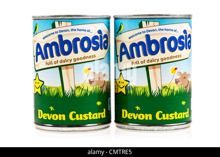 Two cans of Ambrosia Devon custard Stock Photo