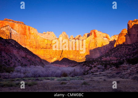 First light of dawn on the West Temple and the Towers of the Virgin, Zion National Park, Utah USA Stock Photo