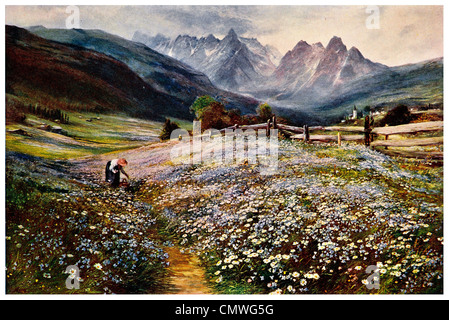 June Austrian Tyrol painted by J.Mc Whirter R.A. Stock Photo