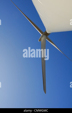 Skewed view of a wind turbine on Whitelee windfarm. Image taken from base of tower looking up with wide angle lens. Stock Photo