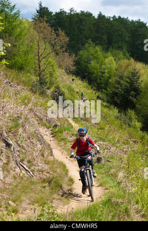 Young mountain biker on purpose-built trail in Dalby Forest, North York Moors National Park Stock Photo