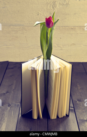 a tulip in a book Stock Photo