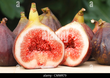 Fresh and ripe organic figs with fig leaves in the background Stock Photo