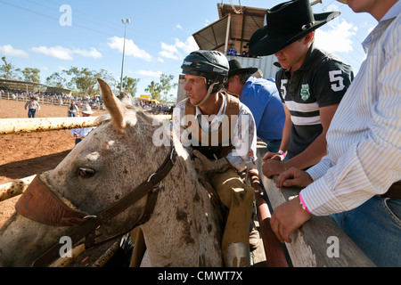 Bareback bronc rider in the bucking chute during the Mt Garnet Rodeo. Mt Garnet, Queensland, Australia Stock Photo