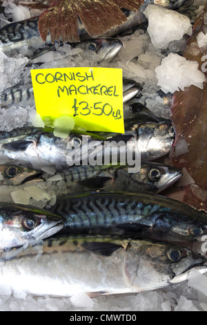 united kingdom west sussex littlehampton riverside fish shop a wet fish display Stock Photo