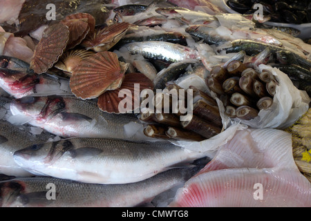 united kingdom west sussex littlehampton riverside fish shop a wet fish display Stock Photo