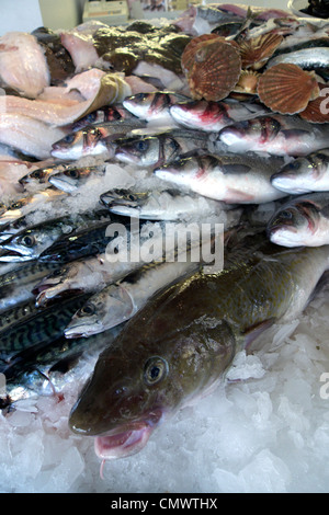 united kingdom west sussex littlehampton riverside fish shop a wet fish display Stock Photo